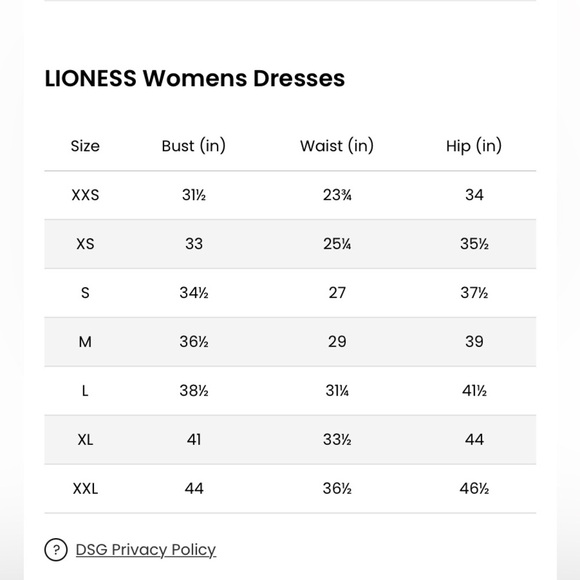 Lioness Elegant Black Mini Dress - Picture 4 of 14